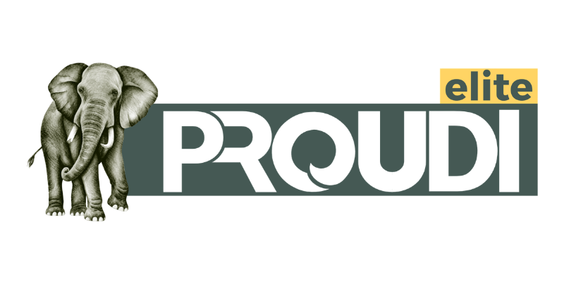 proudi solar solution